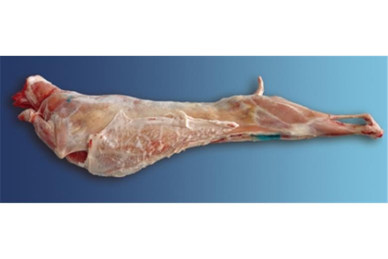 Αρνάκι γάλακτος